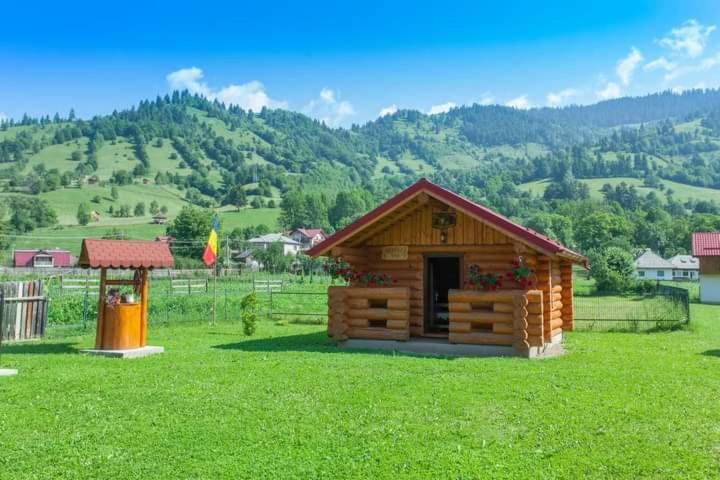 Отель Casa Prundari Nicu Si Mirela Poiana Teiului Экстерьер фото