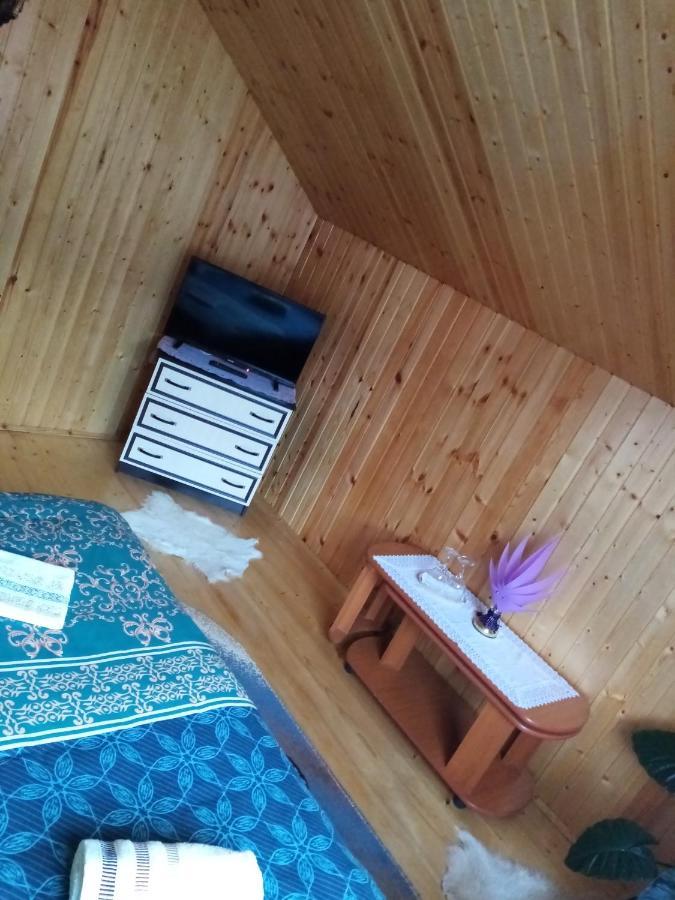 Отель Casa Prundari Nicu Si Mirela Poiana Teiului Экстерьер фото