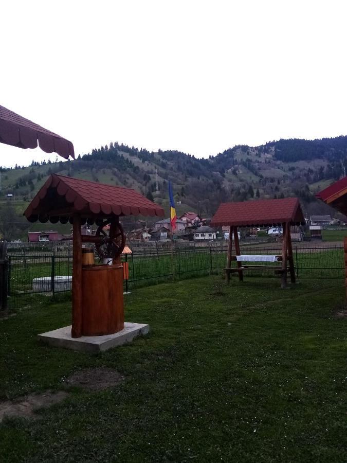 Отель Casa Prundari Nicu Si Mirela Poiana Teiului Экстерьер фото